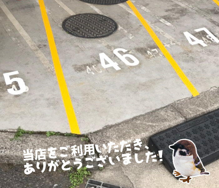 日本未入荷 駐車場ステンシル H450mm 軽 軽専用 駐車スペース 軽自動車用 パーキング 刷り込みプレート 吹き付け板 スプレー板  マーキングプレート