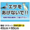 イラスト看板 「エサをあげないで！！」 中サイズ(60cm×40cm)  表示板 ハト 猫 商品一覧/プレート看板・シール/注意・禁止・案内/ペット・動物