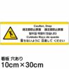 注意看板 「落ちないように注意してください」 小サイズ(10cm×30cm)   多国語 案内 プレート 英語 中国語（簡体 繁体） ハングル語 ポルトガル語 日本語 商品一覧/プレート看板・シール/注意・禁止・案内/安全・道路・交通標識