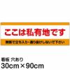 注意看板 「ここは私有地です」 大サイズ(30cm×90cm)   案内 プレート 商品一覧/プレート看板・シール/注意・禁止・案内/立入禁止/私有地向け