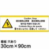 注意看板 「落ちないように注意してください」 大サイズ(30cm×90cm)   多国語 案内 プレート 英語 中国語（簡体 繁体） ハングル語 ポルトガル語 日本語 商品一覧/プレート看板・シール/注意・禁止・案内/安全・道路・交通標識